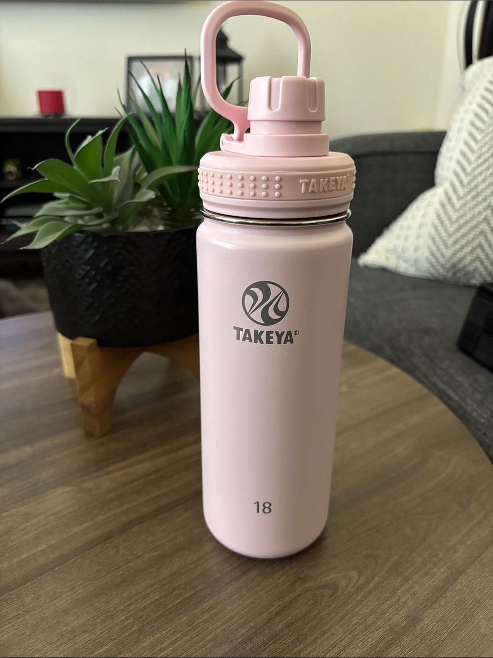 Takeya Pink Insulated Water Bottle - 18oz